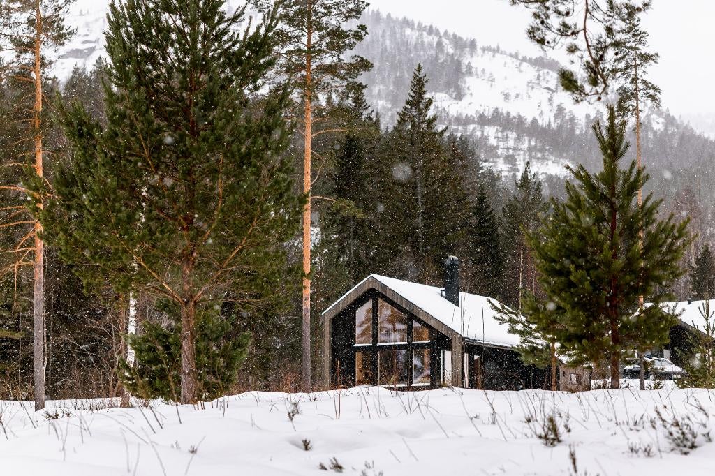 Vakantiehuis Noorwegen-Telemark | 6 pers| aan meer en bergen, Afwasmachine, Aan meer of rivier, Landelijk, Eigenaar