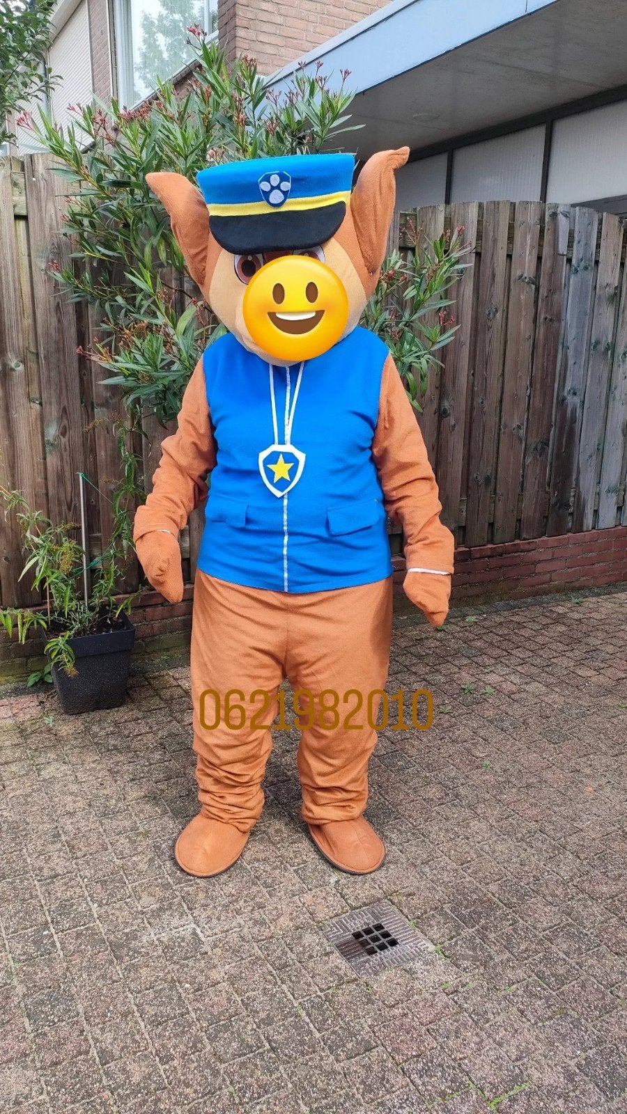 mascotte pak te huur, Ophalen of Verzenden, Zo goed als nieuw, Overige
