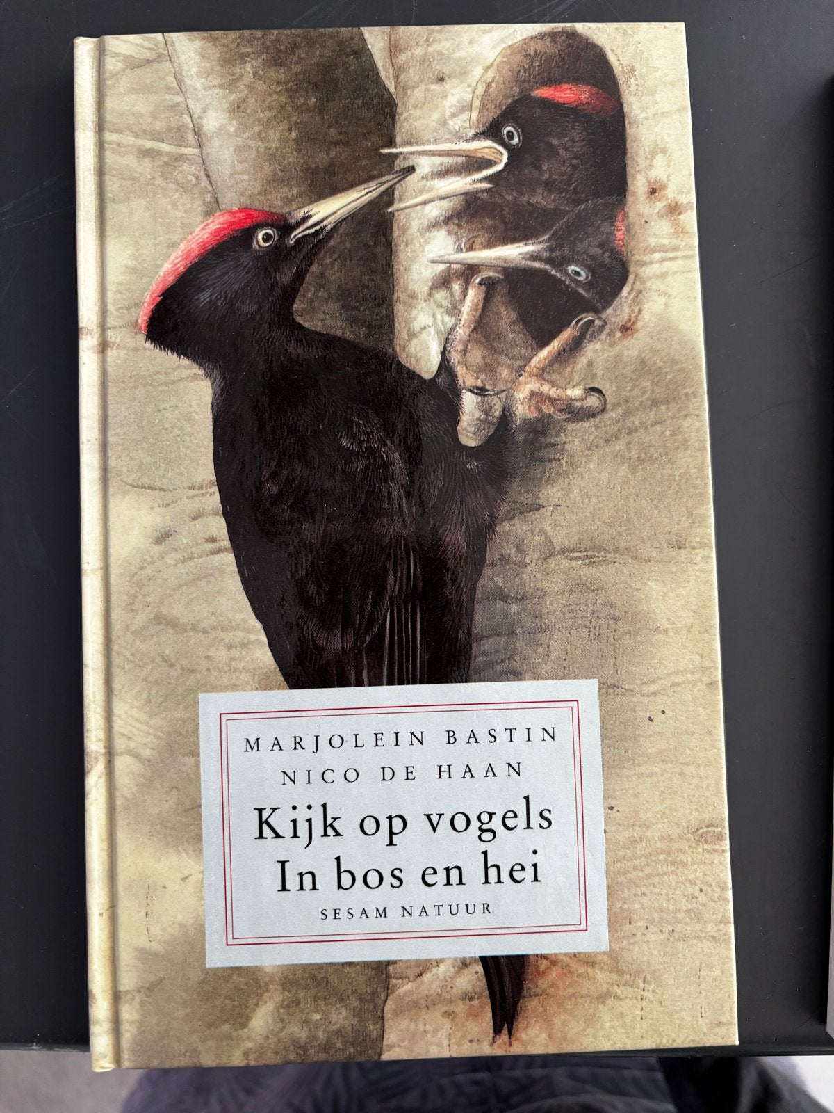 Kijk op Vogels In Bos en Hei - Marjolein Bastin, Boeken, Natuur, Ophalen of Verzenden, Zo goed als nieuw, Vogels