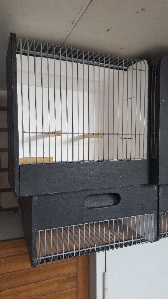 TT kooien, Dieren en Toebehoren, Ophalen, Gebruikt