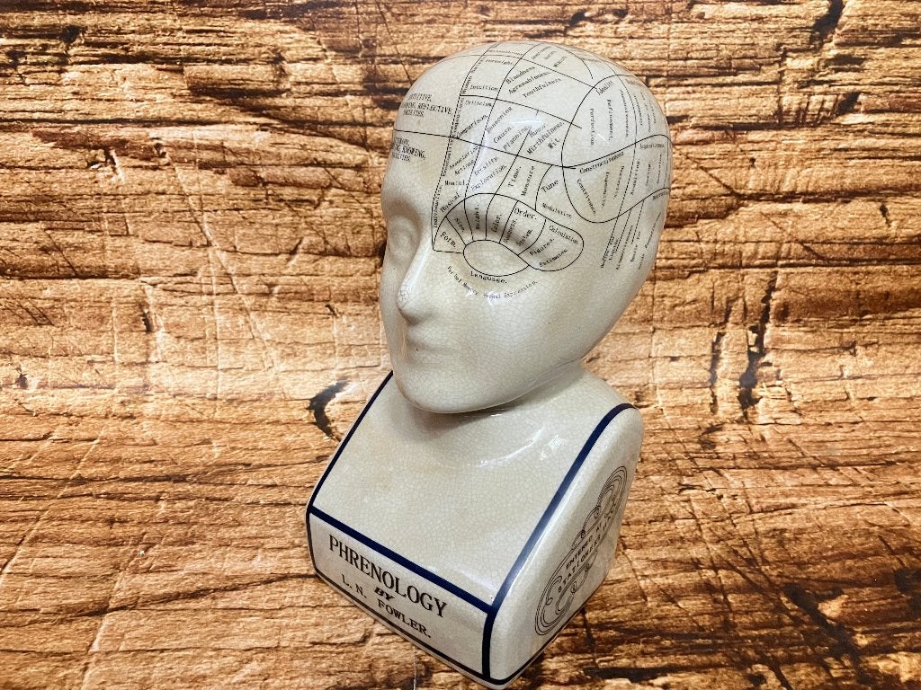 Phrenology hoofd (Medici hoofd) theorie L.N. Fowler., Ophalen of Verzenden