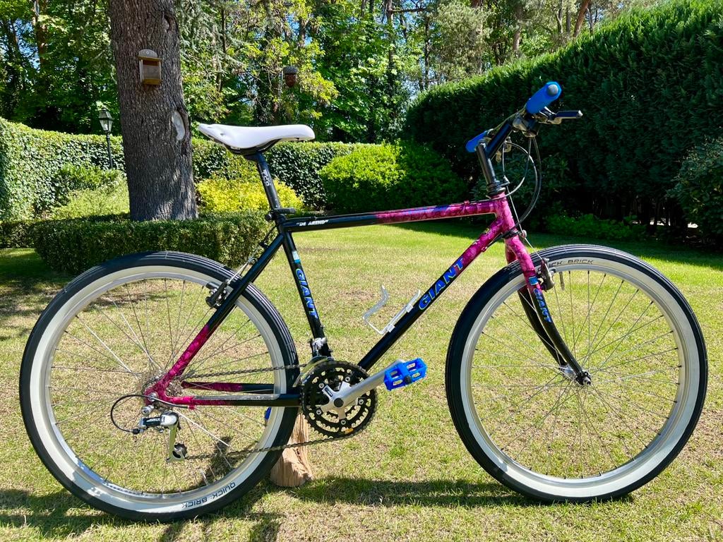 Giant Terrago 90’s mtb,retro,vintage !!, 53 tot 57 cm, Ophalen of Verzenden, Zo goed als nieuw, Giant