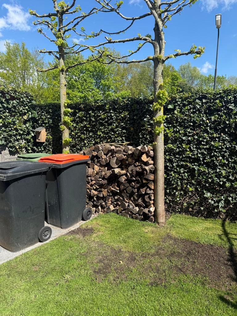 Gekloofd brandhout, diverse houtsoorten, 3 tot 6 m³, Ophalen of Verzenden, Overige houtsoorten, Blokken
