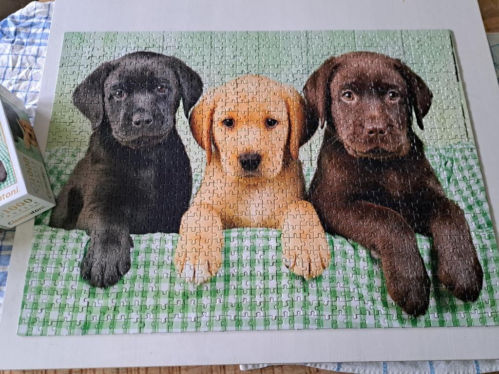 Puzzel 1000 stukjes, Ophalen of Verzenden, 500 t/m 1500 stukjes, Zo goed als nieuw, Legpuzzel