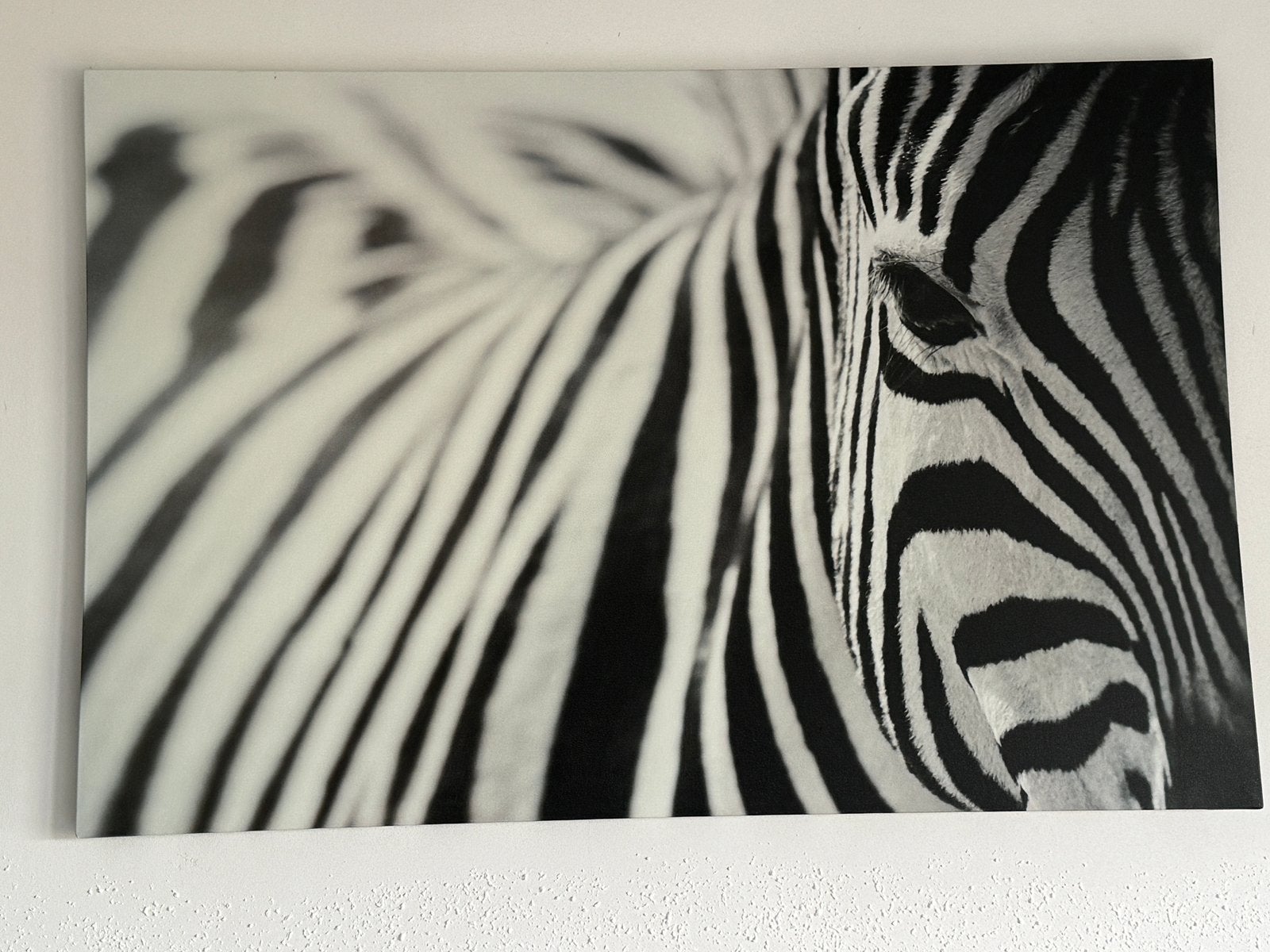 CANVAS SCHILDERIJ ZEBRA 118 breed 78 hoog, Ophalen, Zo goed als nieuw, Schilderij