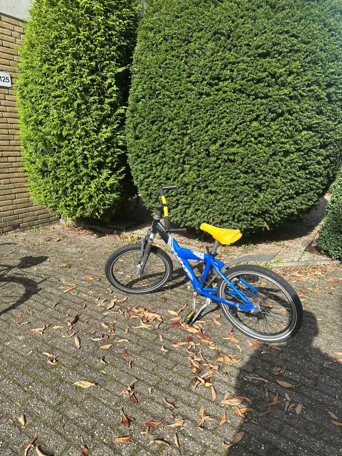 Foto 8 van Aldo kinderfiets 20 inch, blauw, met voorvering