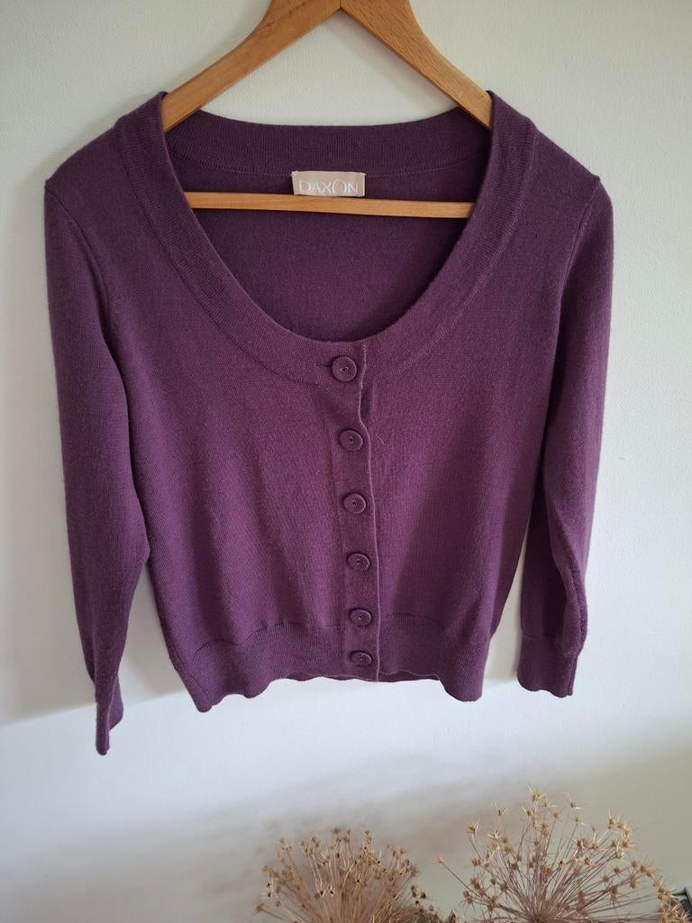 Mooi vest, fijne kleur, Kleding | Dames, Paars, Maat 42/44 (L), Ophalen of Verzenden, Zo goed als nieuw