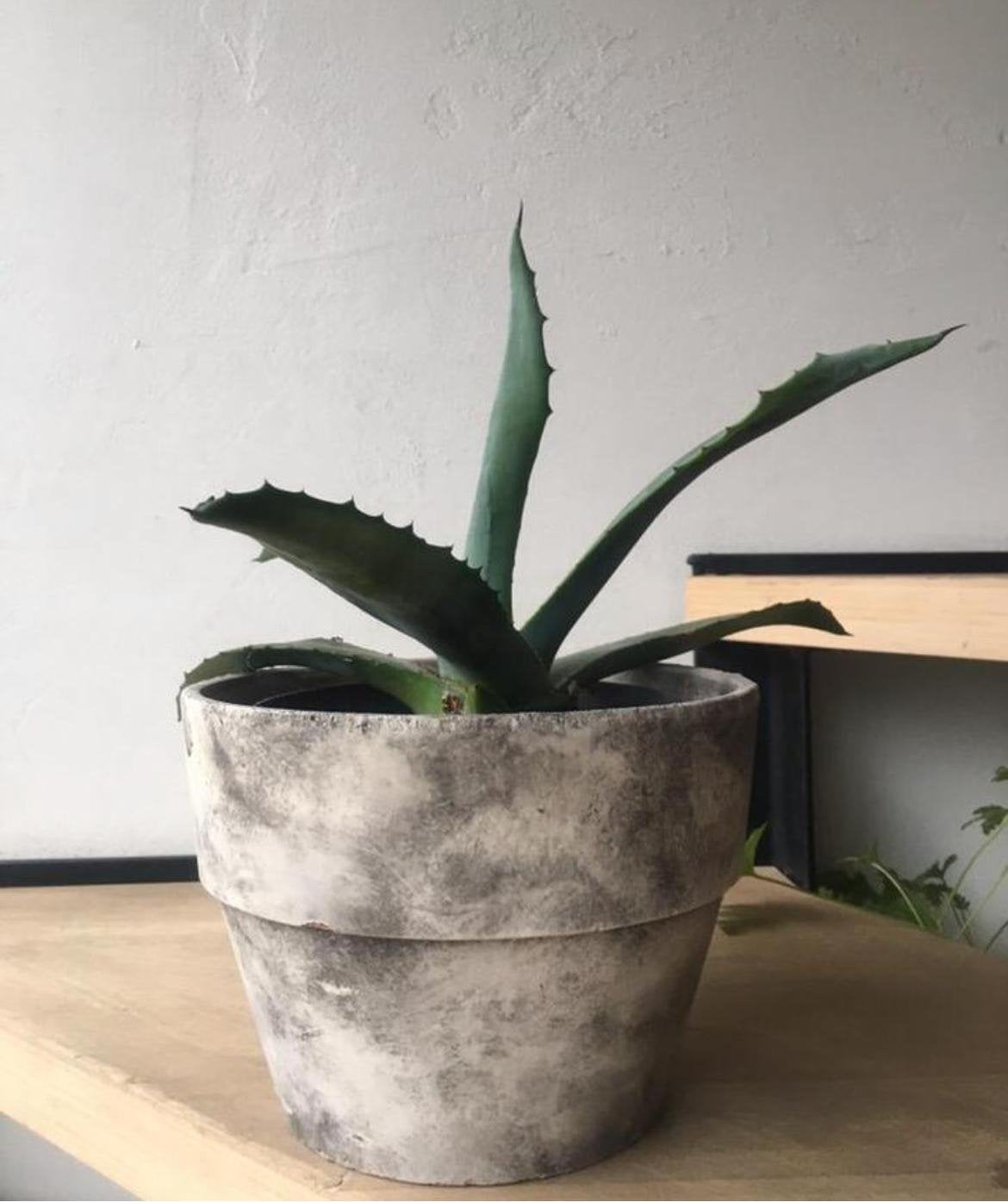 stijlvolle vintage grijze terracotta bloempot 21,5cm, Gebruikt, Rond, Binnen, Minder dan 40 cm