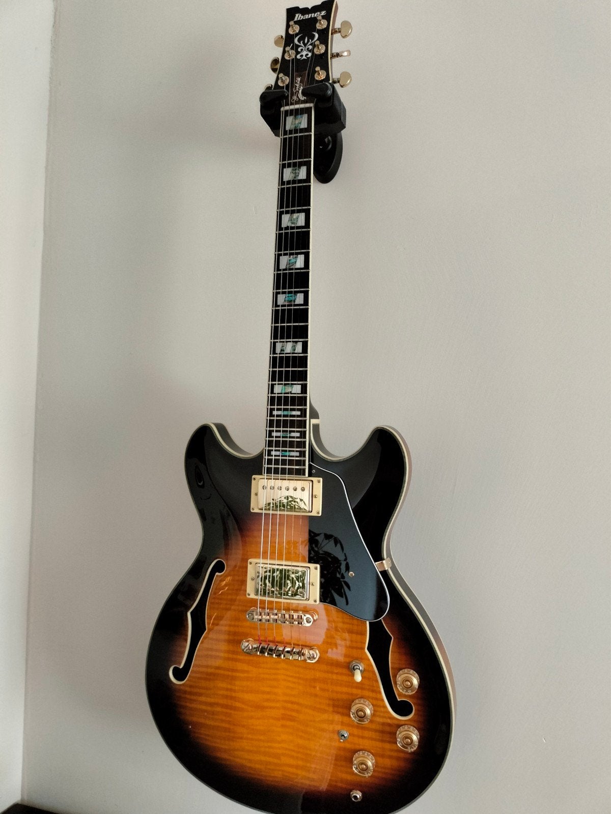 Ibanez jsm10 VYS John Scofield 
Ibanez JSM10 John Scofield, Ophalen, Zo goed als nieuw, Hollow body, Ibanez