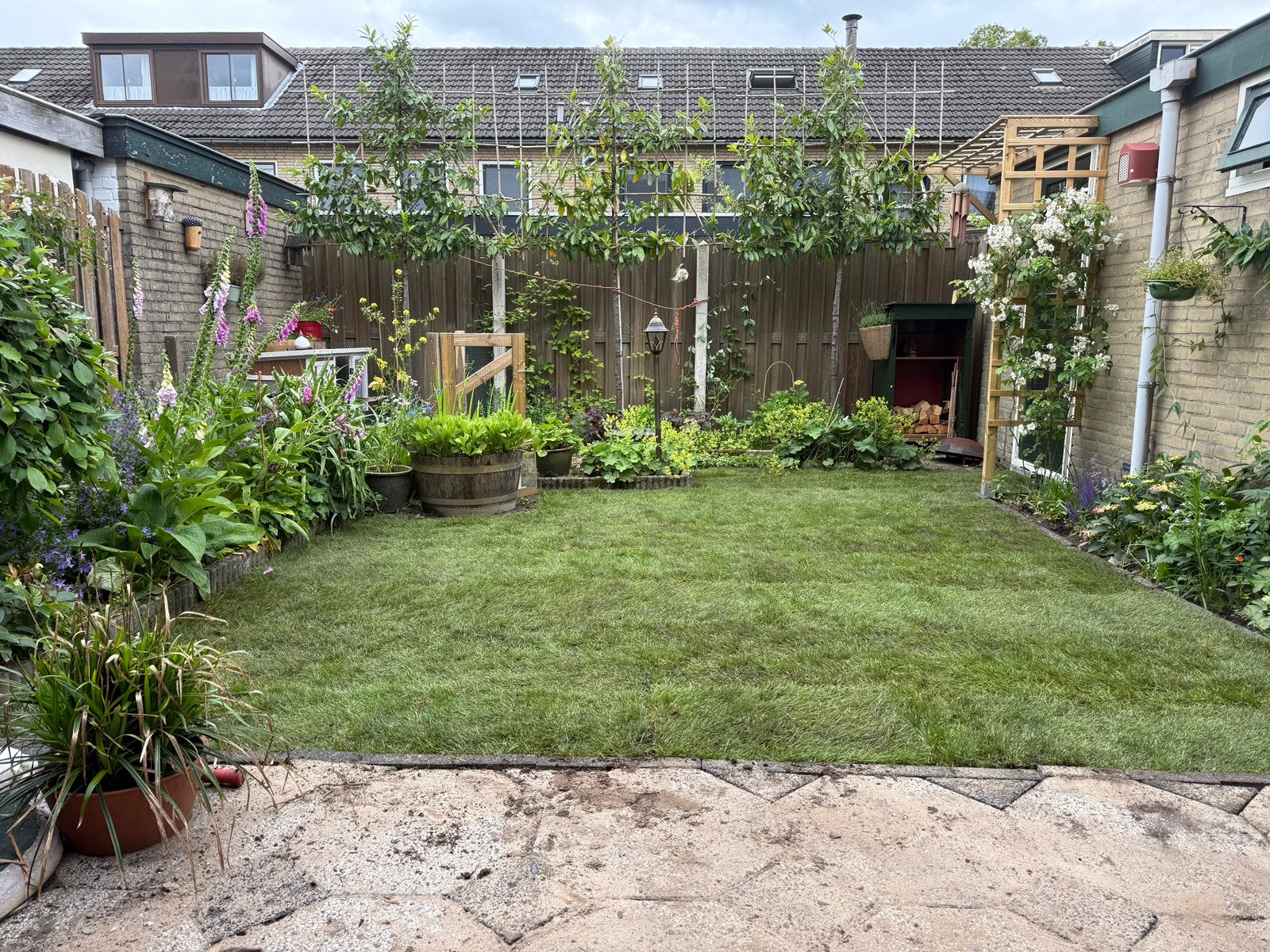 Graszoden over +- 9m2, Ophalen, Nieuw, Minder dan 10 m², Gras