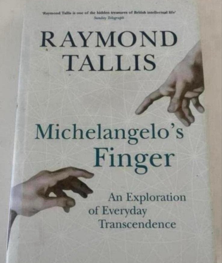 Michelangelo's Finger: Een Verkenning van Alledaagse Transce, Ophalen of Verzenden, Zo goed als nieuw