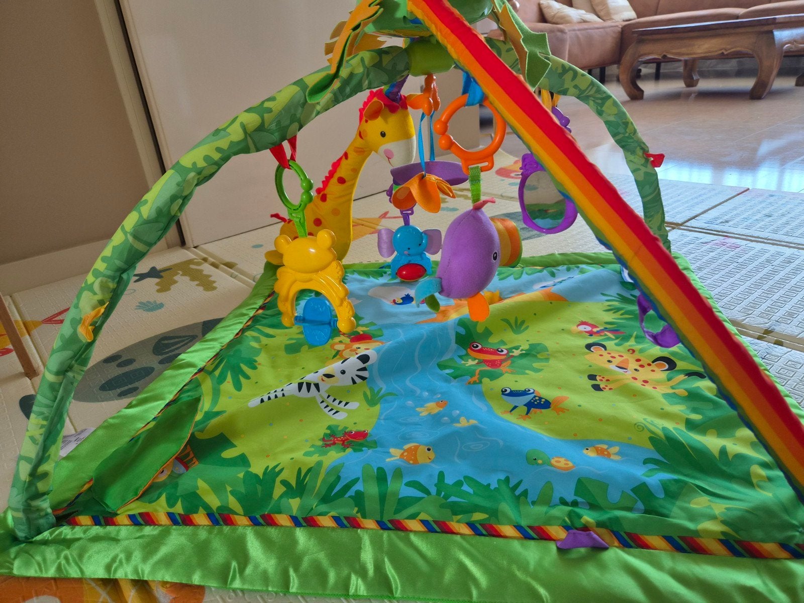 Babygym met speelkleed - gratis af te halen, Ophalen, Gebruikt, Babygym