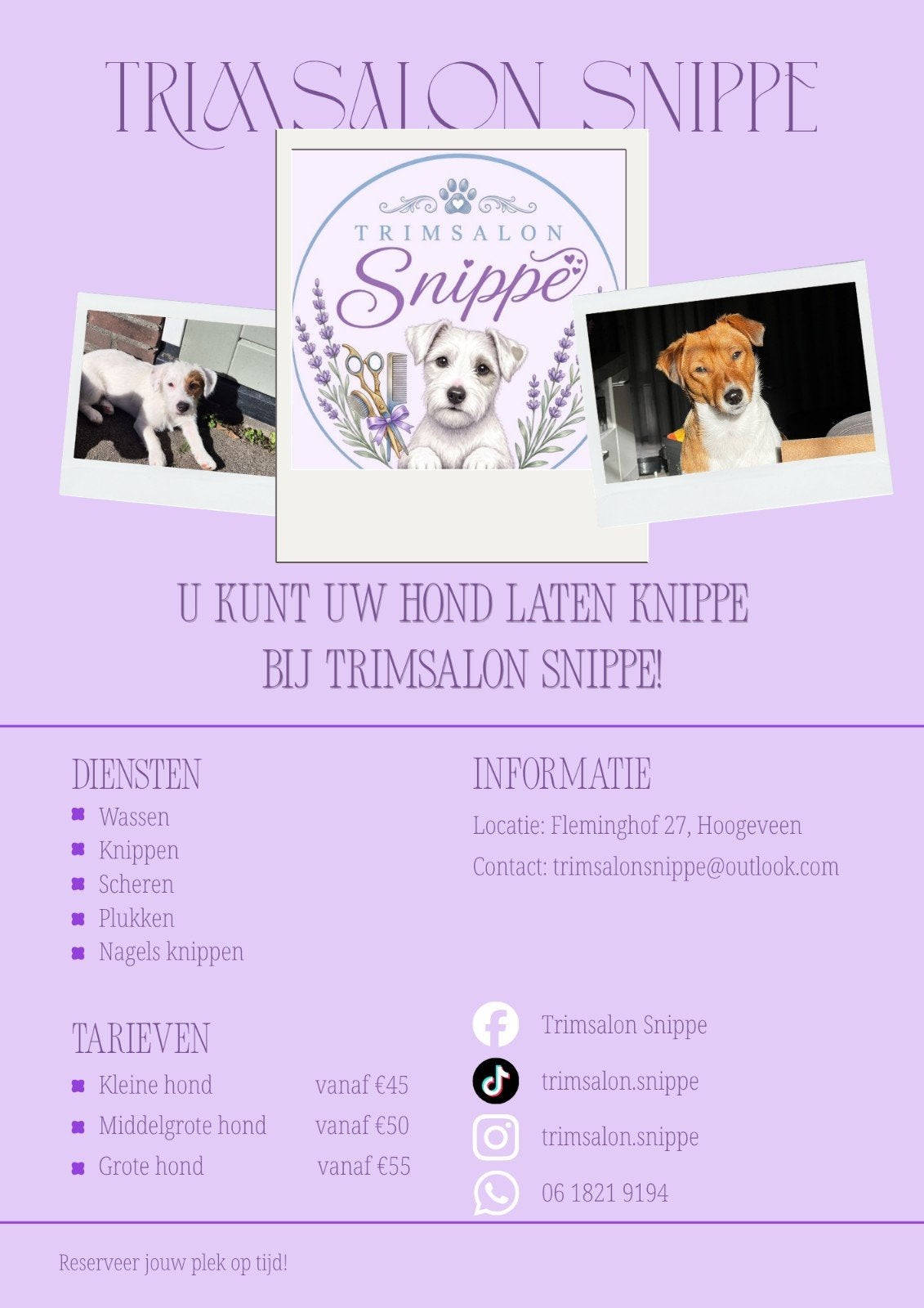 Trimsalon Snippe in Hoogeveen, Ophalen of Verzenden