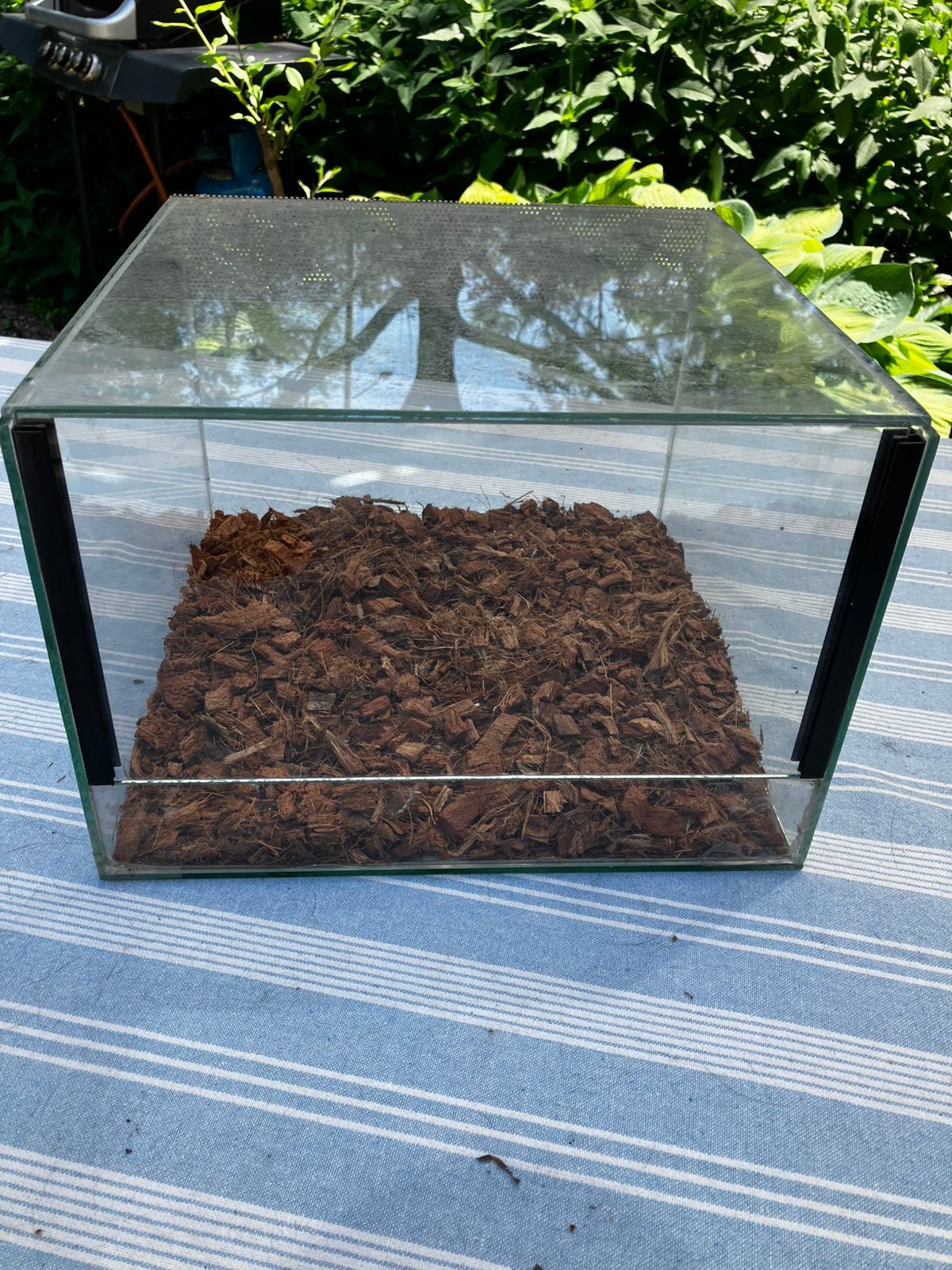 Terrarium / reptielenbakje 30x30x20, Dieren en Toebehoren, Ophalen, Zo goed als nieuw