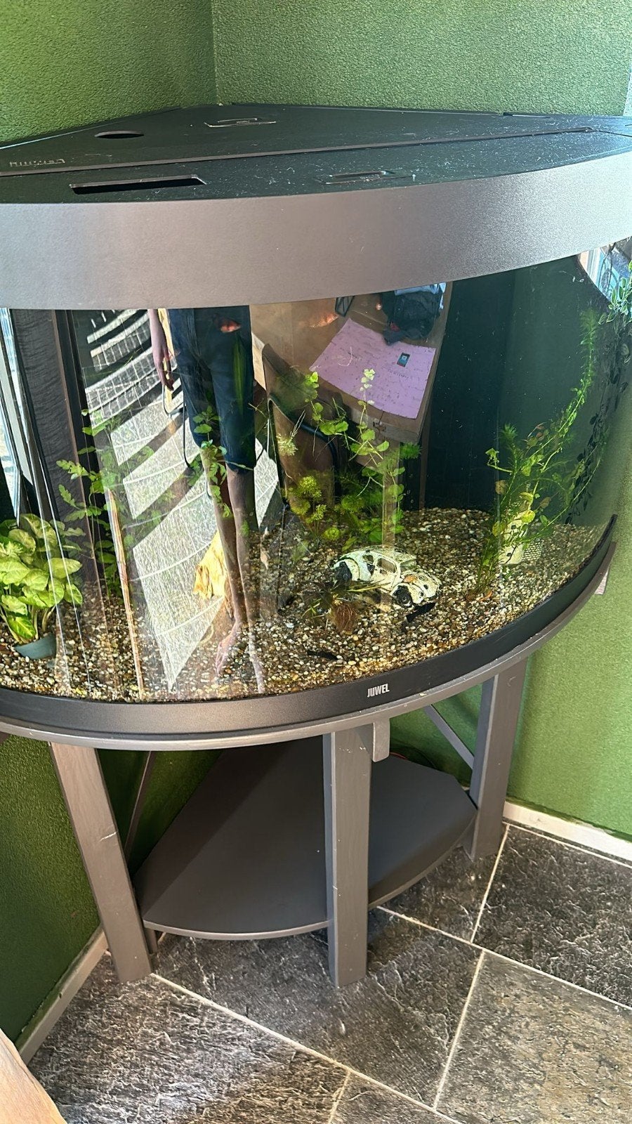 Juwel hoekaquarium met onderstel, Dieren en Toebehoren, Vissen | Aquaria en Toebehoren, Ophalen, Gebruikt, Leeg aquarium, Juwel