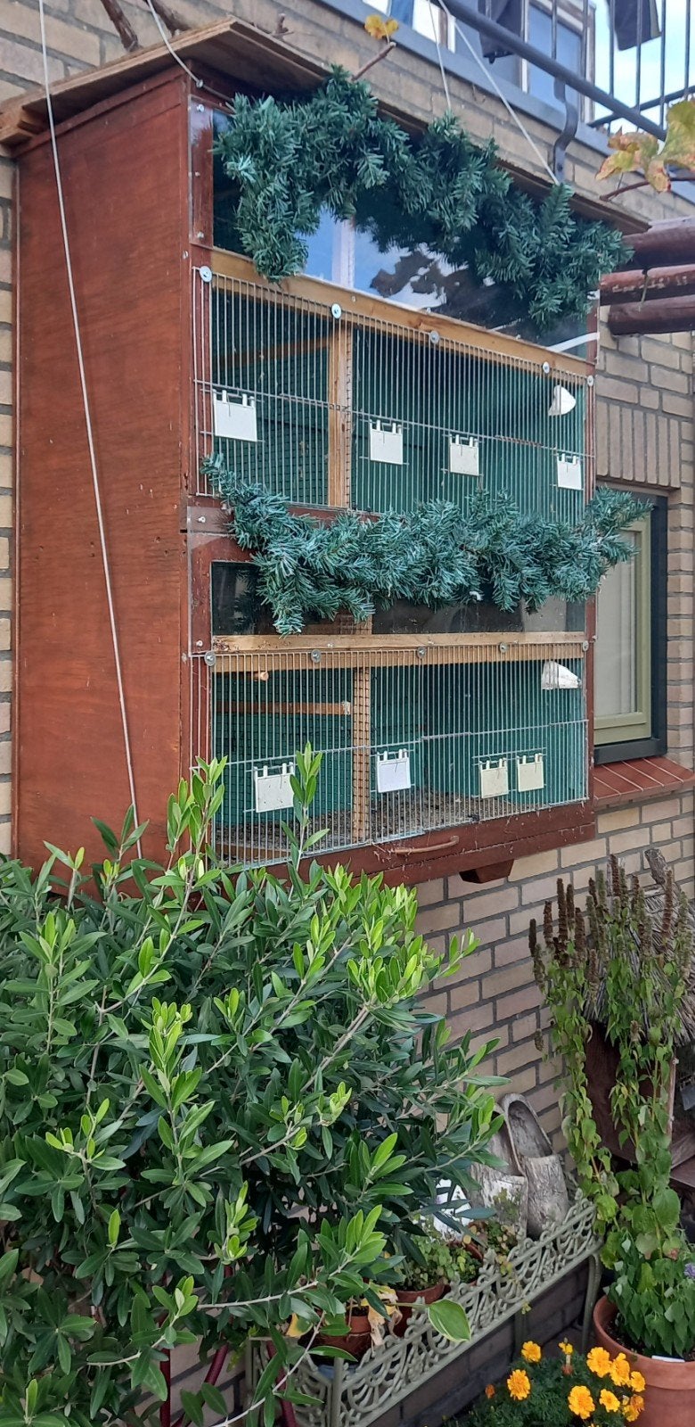 GRATIS VOGELKOOI, Ophalen of Verzenden