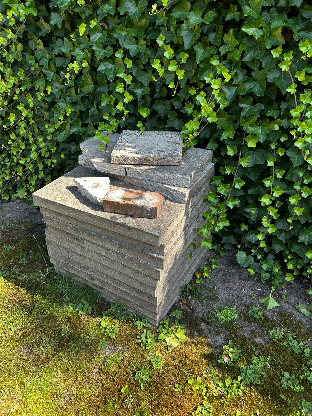 Schellevis betontegels, 60 bij 60cm, 24 stuks, Tuin en Terras, Ophalen, Zo goed als nieuw, Beton, Terrastegels
