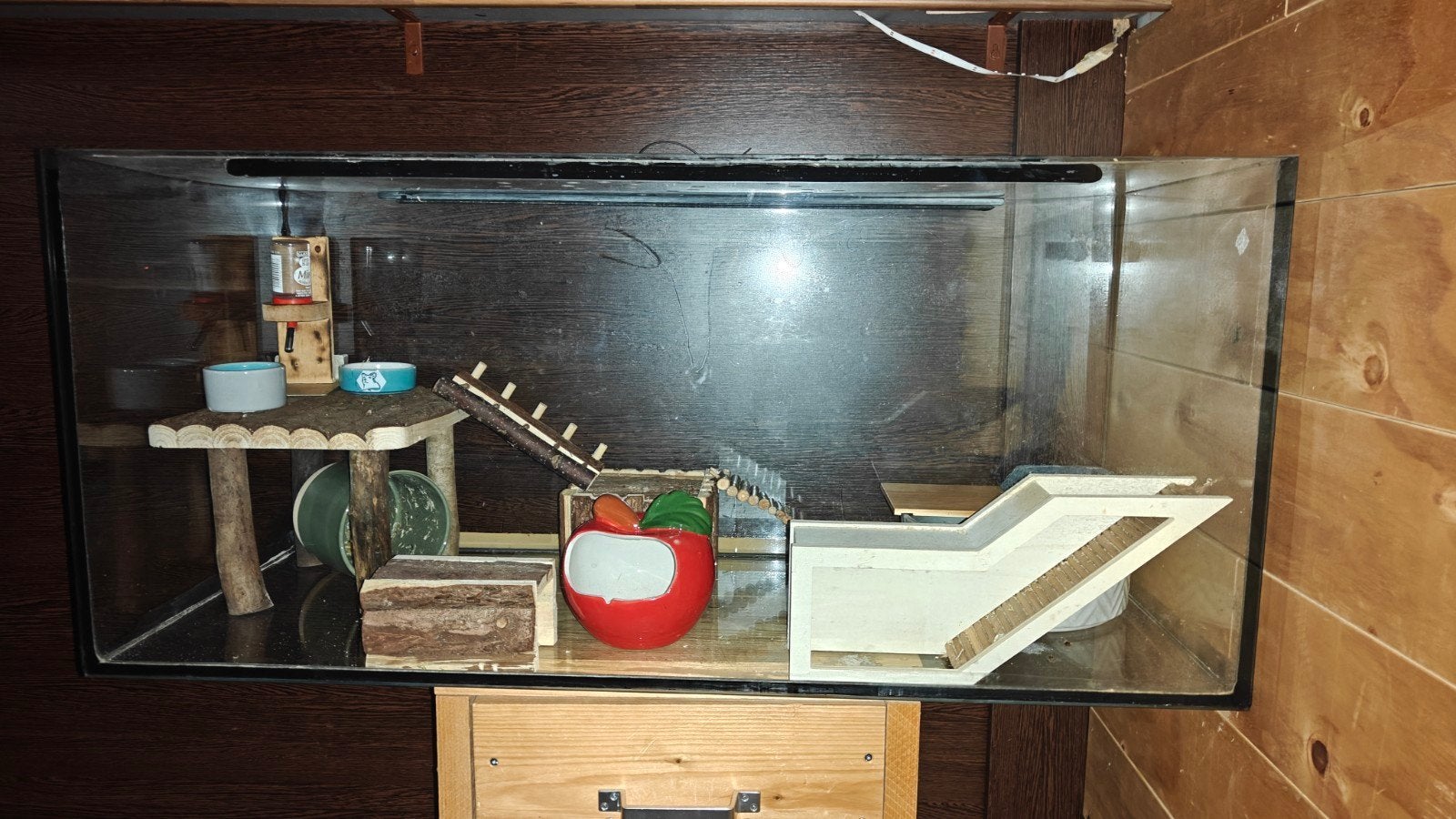 hamster kooi en spullen, Dieren en Toebehoren, Ophalen, Gebruikt, Verzorging