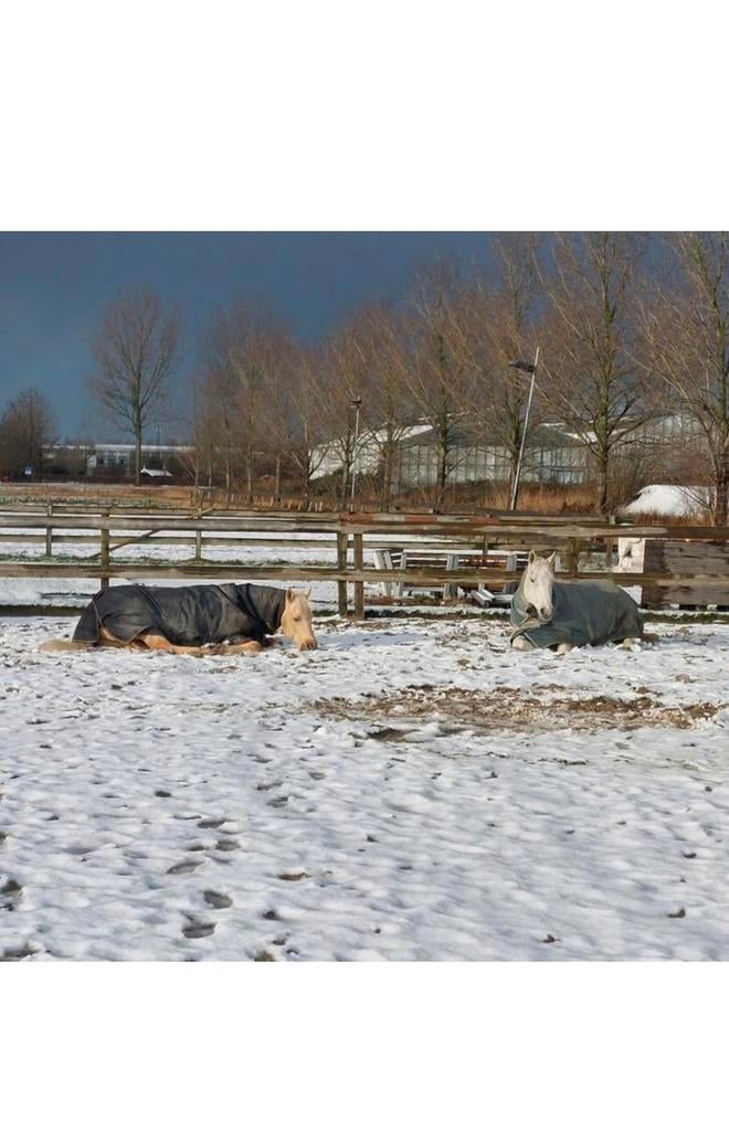 Stal / Rijsenhout, Ophalen of Verzenden, Zo goed als nieuw