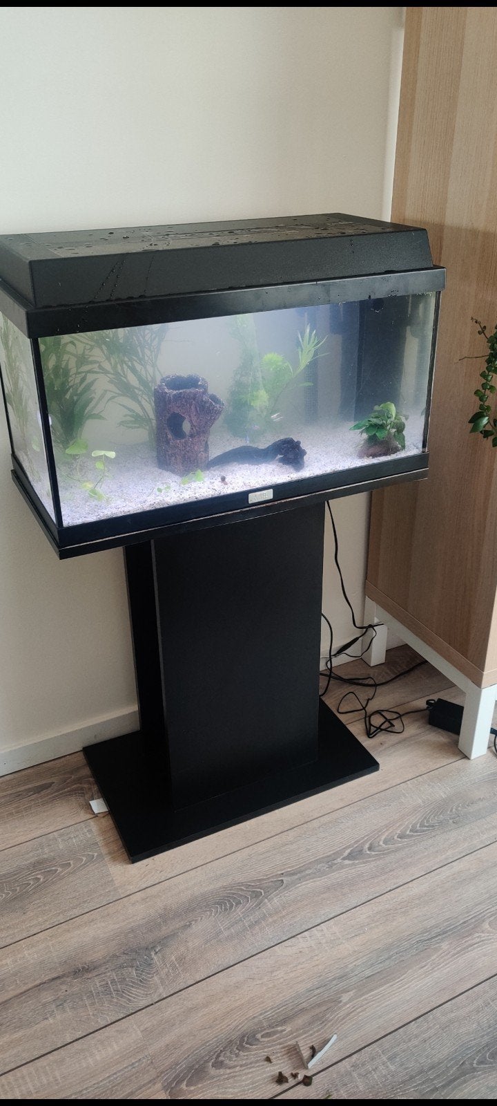 Complete aquarium starterset!, Ophalen, Leeg aquarium