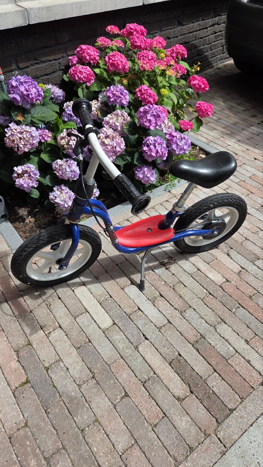 Kinderloopfiets Puky - Blauw/Rood, Ophalen