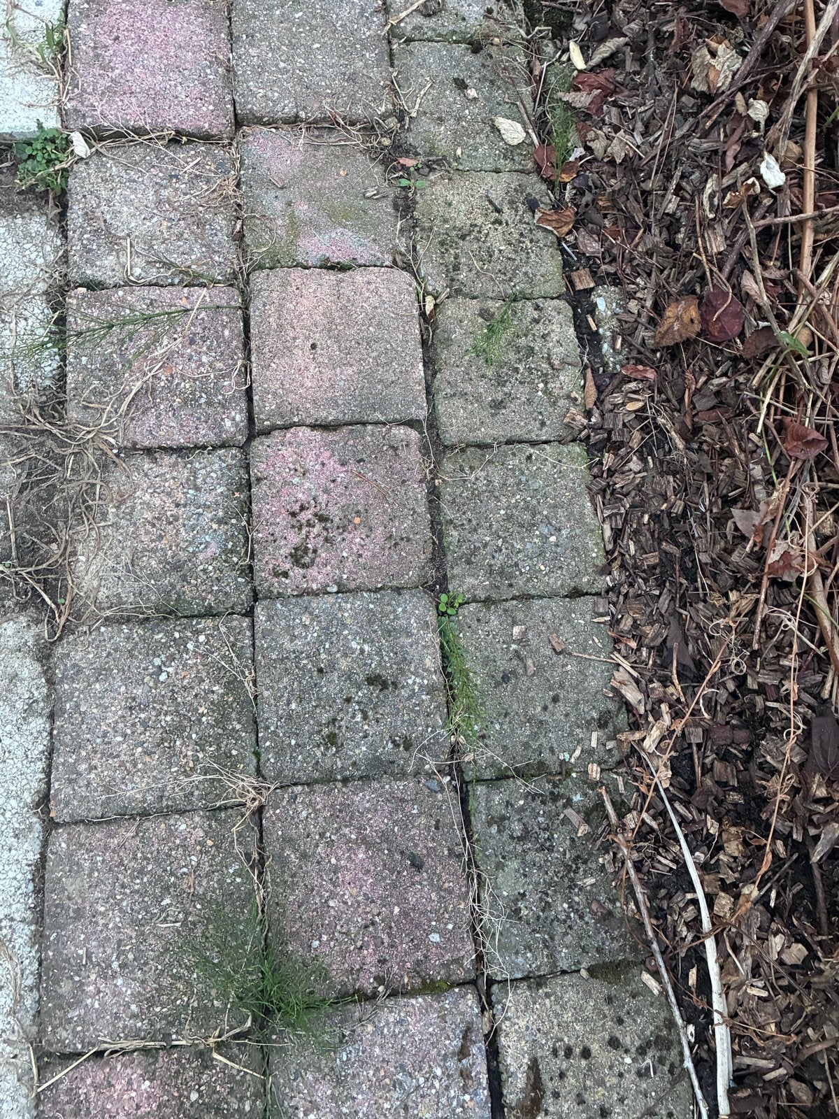 Gebruikte stoeptegels - 9 meter lang, 4 breed, Tuin en Terras, Ophalen, Gebruikt, 10 m² of meer, Beton