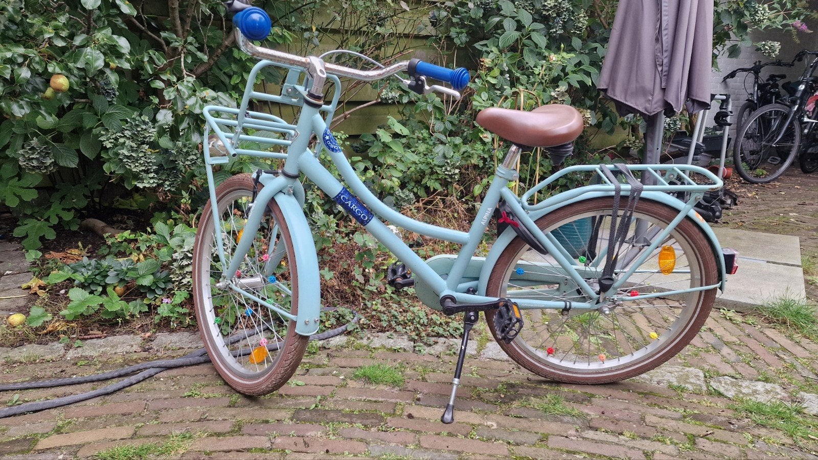 Lichtblauwe Alpina Cargo fiets, 22 inch, Ophalen, 22 inch, Gebruikt, Velgrem