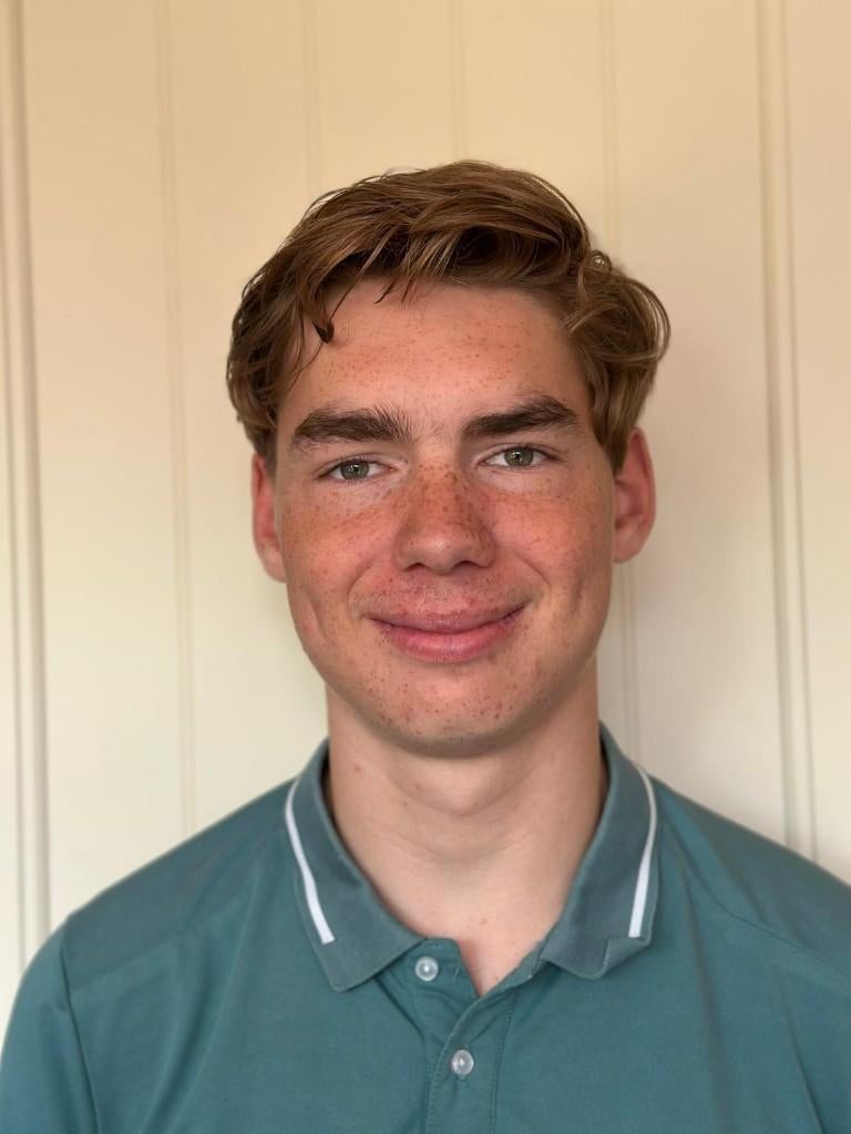 Online bijles scheikunde/wiskunde B, Privéles, Bijles
