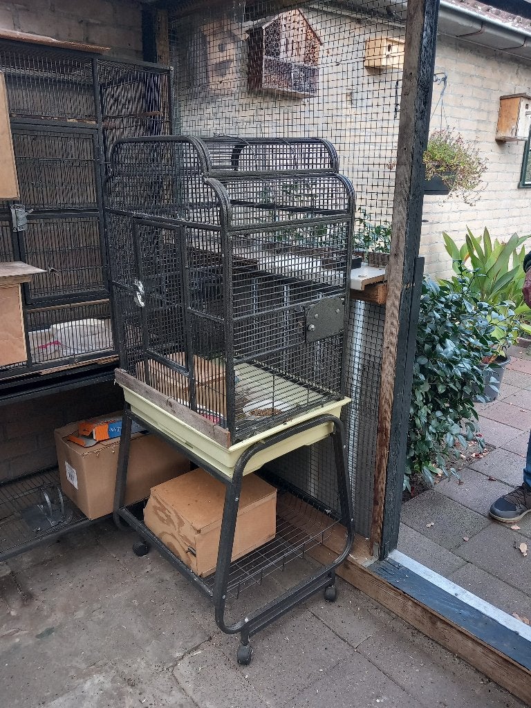 vogelkooi gebruikt, Ophalen of Verzenden, Gebruikt, Metaal, Vogelkooi