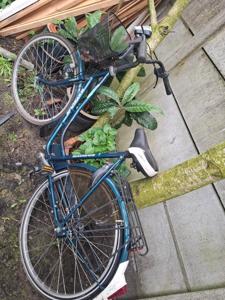 Batavus Damesfiets - Ideaal voor dagelijks gebruik, Terugtraprem, Batavus, Ophalen of Verzenden, 53 tot 56 cm