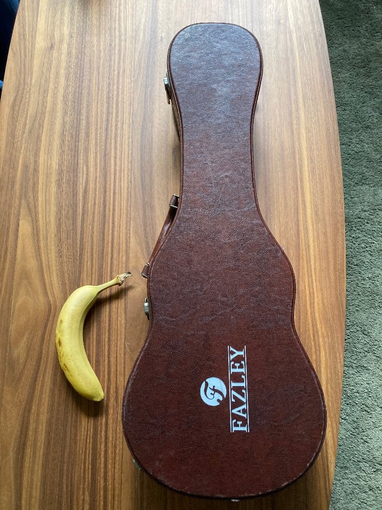 Ukelele koffer, Ophalen, Gebruikt, Overige instrumenten