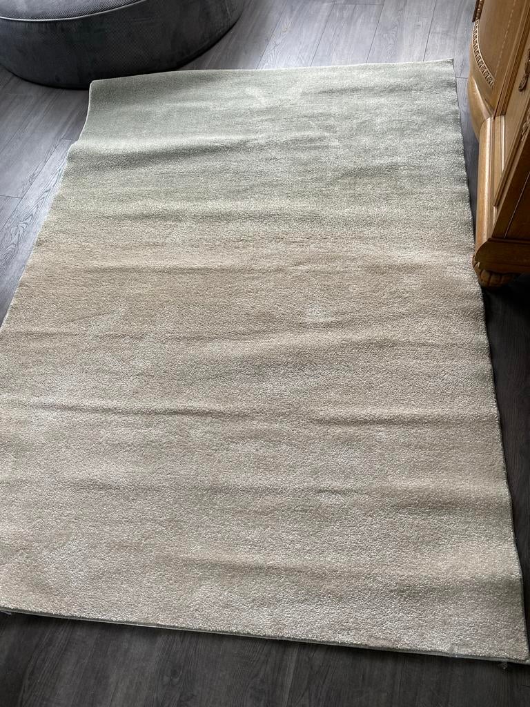 Nieuw Wehkamp vloerkleed groen-crème 160x230 cm, Ophalen, 150 tot 200 cm, Rechthoekig, Groen