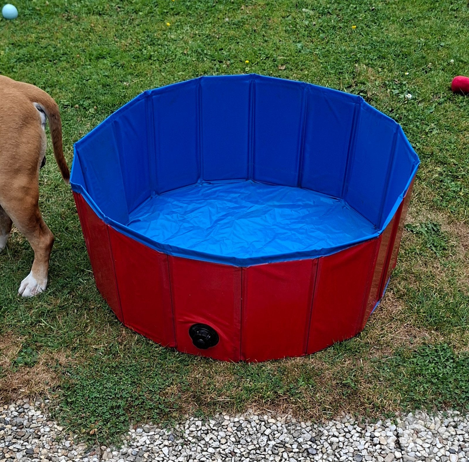 honden zwembad, Ophalen of Verzenden, Zo goed als nieuw