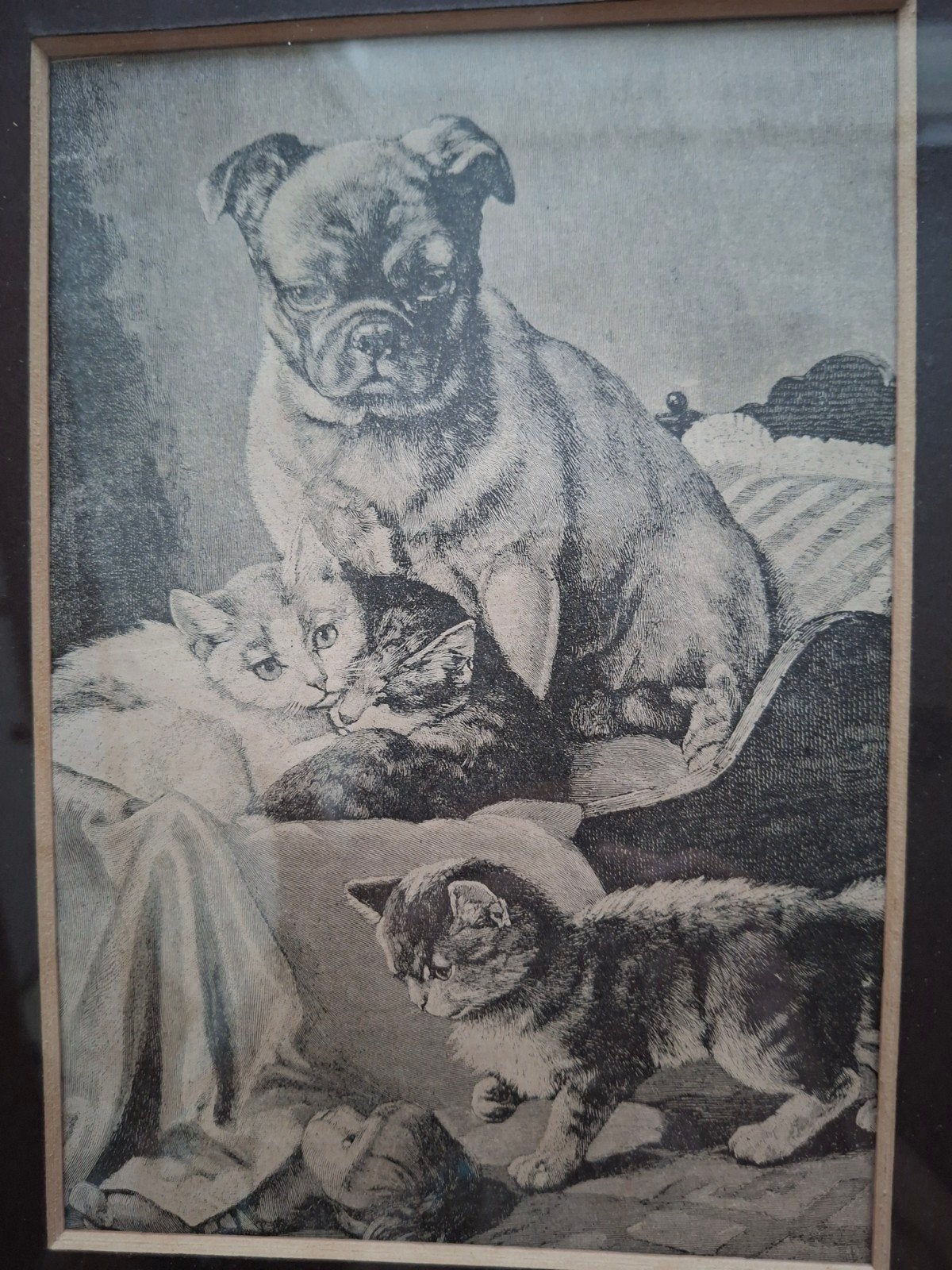 Gravure naar M. Stoecks - Hond en katten (1913), Antiek en Kunst, Kunst | Etsen en Gravures, Met tekst, Ophalen of Verzenden, Gravure