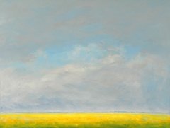 Zover het oog reikt. GERARD KOSTER, Boeken, Ophalen of Verzenden, Zo goed als nieuw, Schilder- en Tekenkunst
