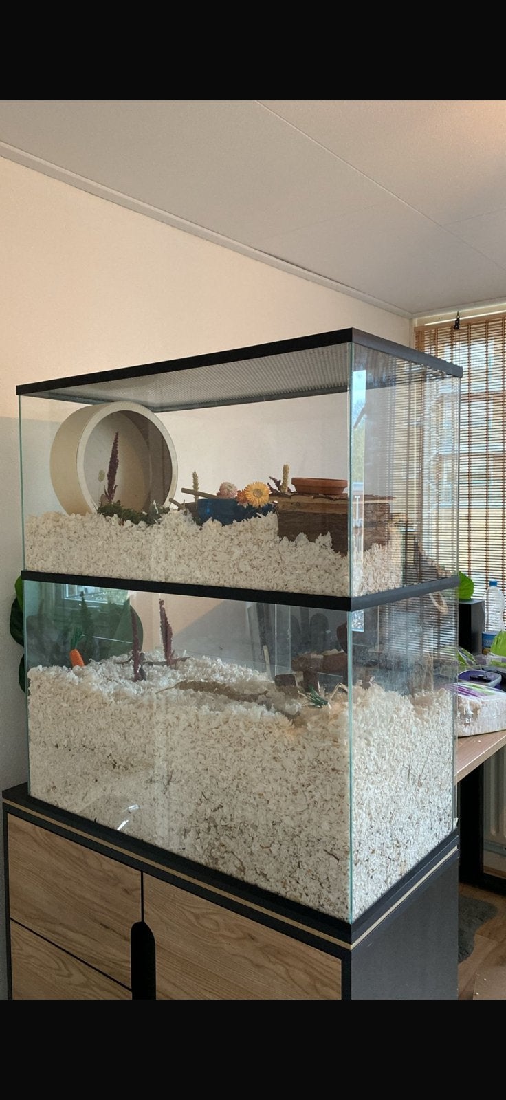Hamster/gebril hok, Ophalen, Zo goed als nieuw, Overige typen
