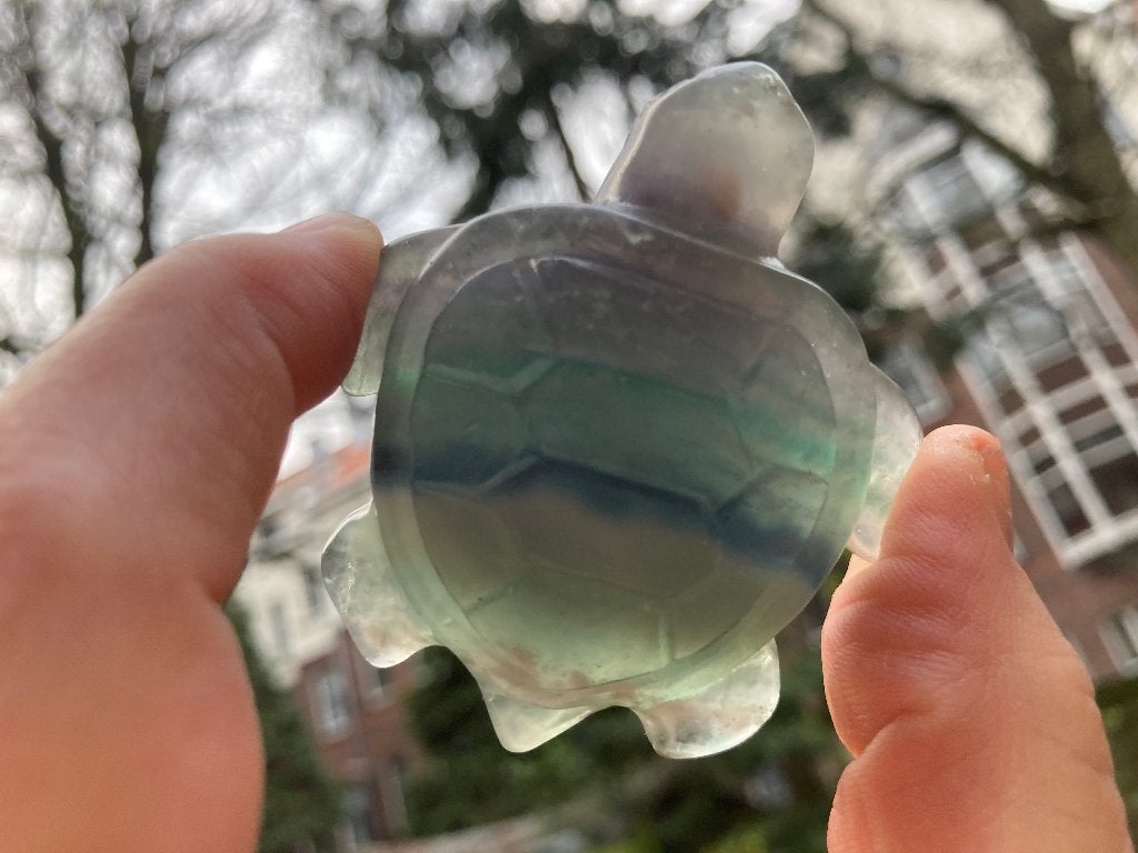 Kristallen Schedel Zeeschildpad van Regenboog-Fluoriet, Ophalen of Verzenden, Mineraal