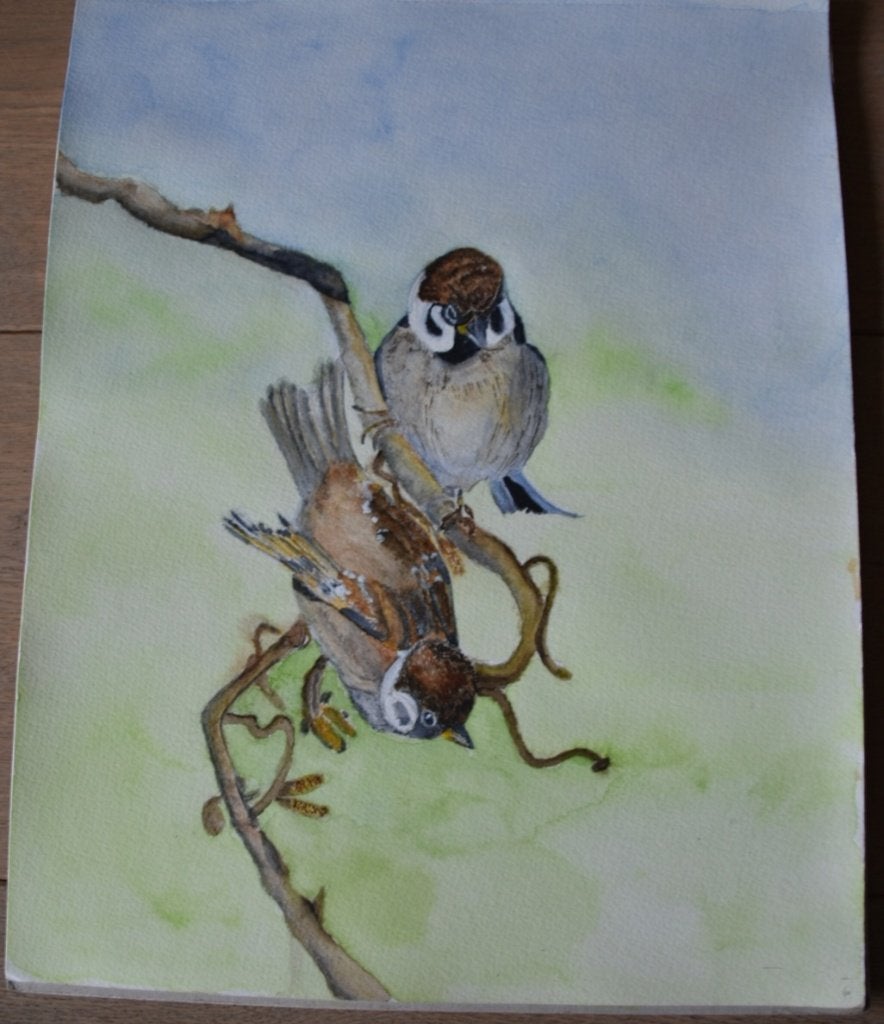 Handgemaakte aquarel van twee mussen op een tak, 40x32 cm, Ophalen, Realistisch, Dieren, Aquarel