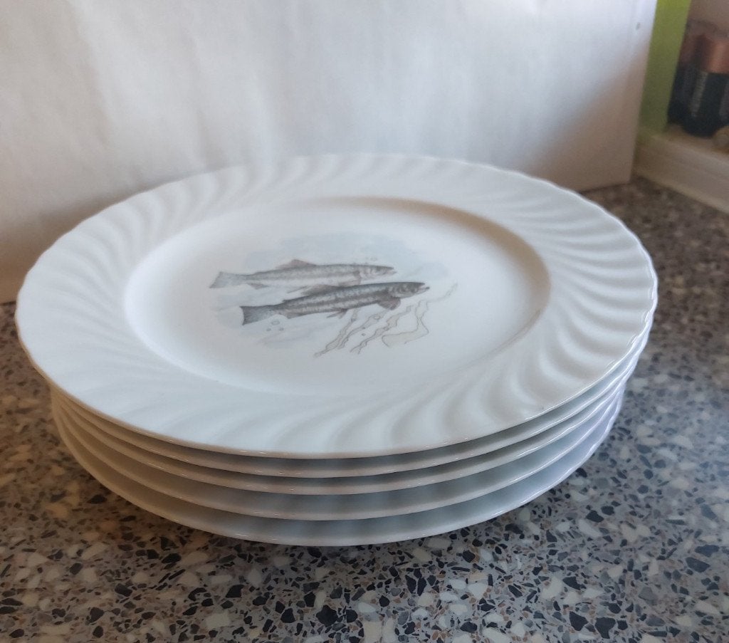 5 borden vis visbord Seltmann Weiden 25 cm, Gebruikt, Ophalen of Verzenden, Bord(en), Overige stijlen