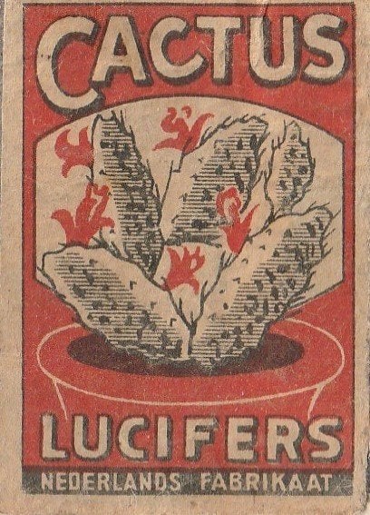 lucifers - cactus - Nederlands fabrikaat, Ophalen of Verzenden, Zo goed als nieuw, Luciferdoosjes of -merken