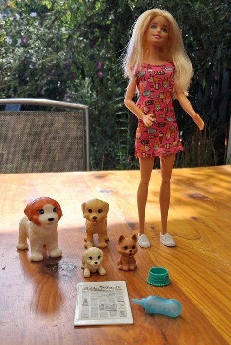 De Barbie Honden Dagopvang speelset, Ophalen of Verzenden