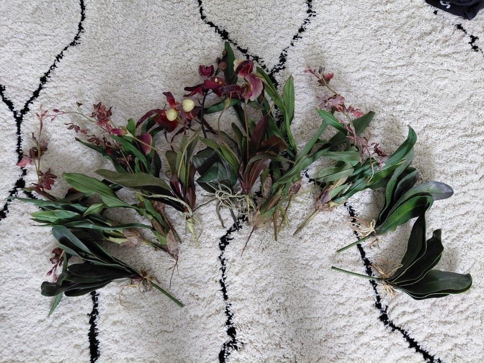 Silk ka zijde orchideeën, Binnen, Gebruikt, Zijde, Ophalen of Verzenden