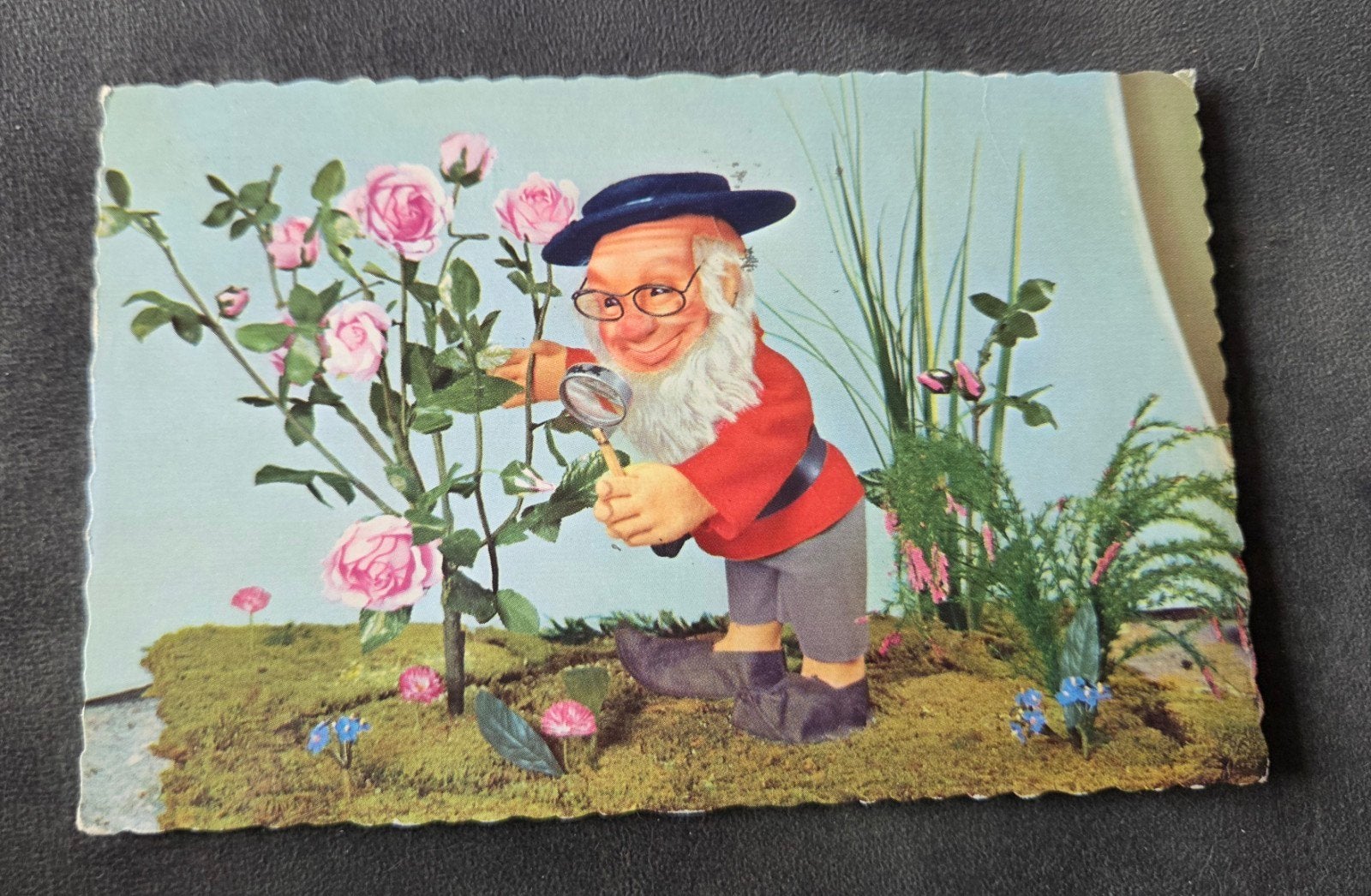 Kabouter inspecteert roze rozen met vergrootglas, Verzenden, 1940 tot 1960, Gelopen, Kinderen
