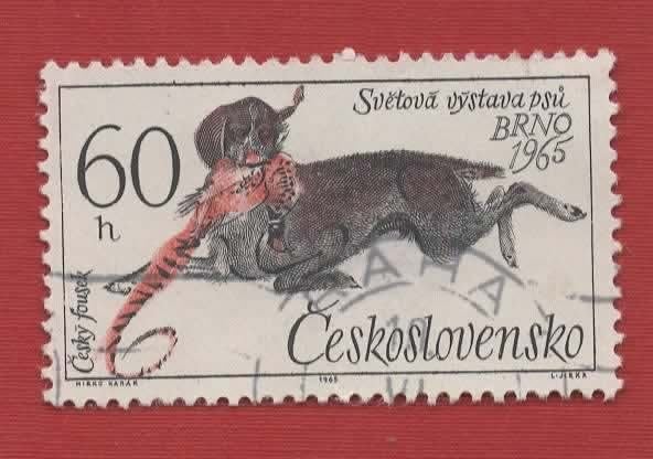 Fauna - Honden - Tsjecho Slowakije - Hond met Fazant - jr.65, Ophalen of Verzenden, Gestempeld, Dier of Natuur