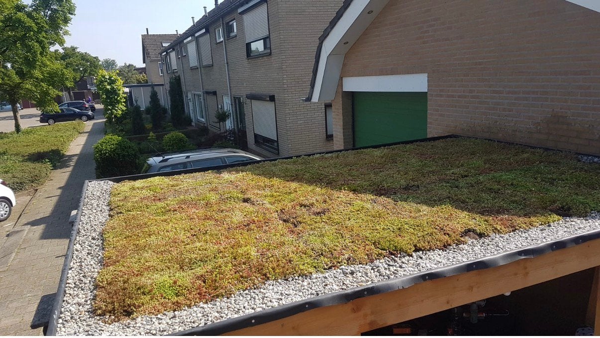 Groendak zelf makemet Sedum kant en klaar cassettes, Ophalen of Verzenden, Overige soorten, Volle zon
