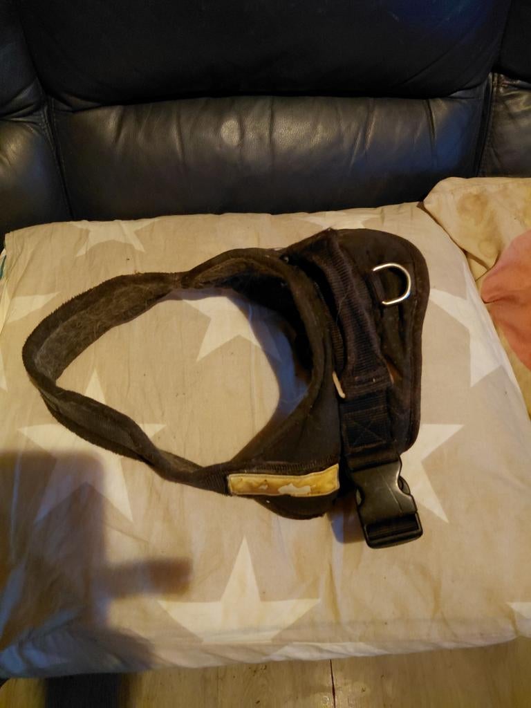 Honden harnas hunter, Ophalen, Gebruikt, Hondenriem-accessoire