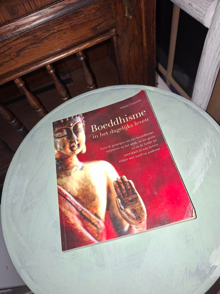 Boek Boeddhisme in het dagelijks leven., Ophalen of Verzenden, Achtergrond en Informatie