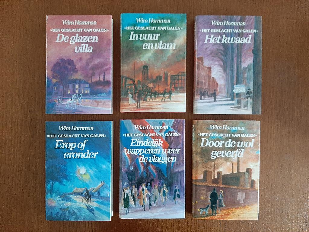 HET GESLACHT VAN GALEN  (romancyclus - 6 boeken), Nieuw, Ophalen of Verzenden, Nederland, Wim Hornman
