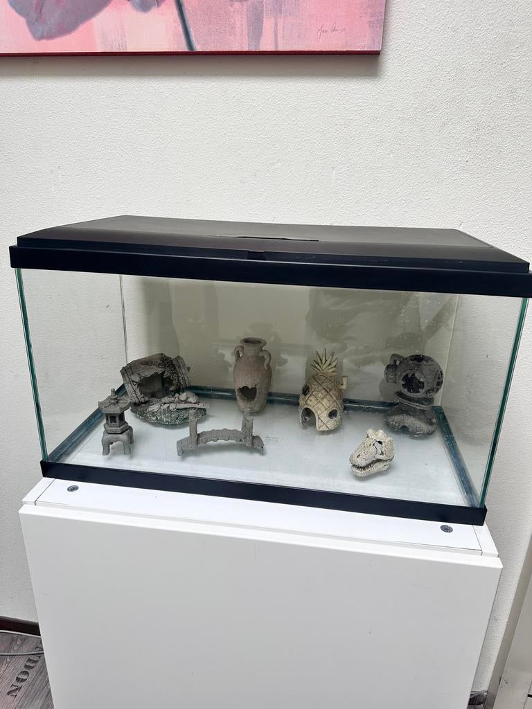 Aquarium 60L, Ophalen, Gebruikt, Leeg aquarium