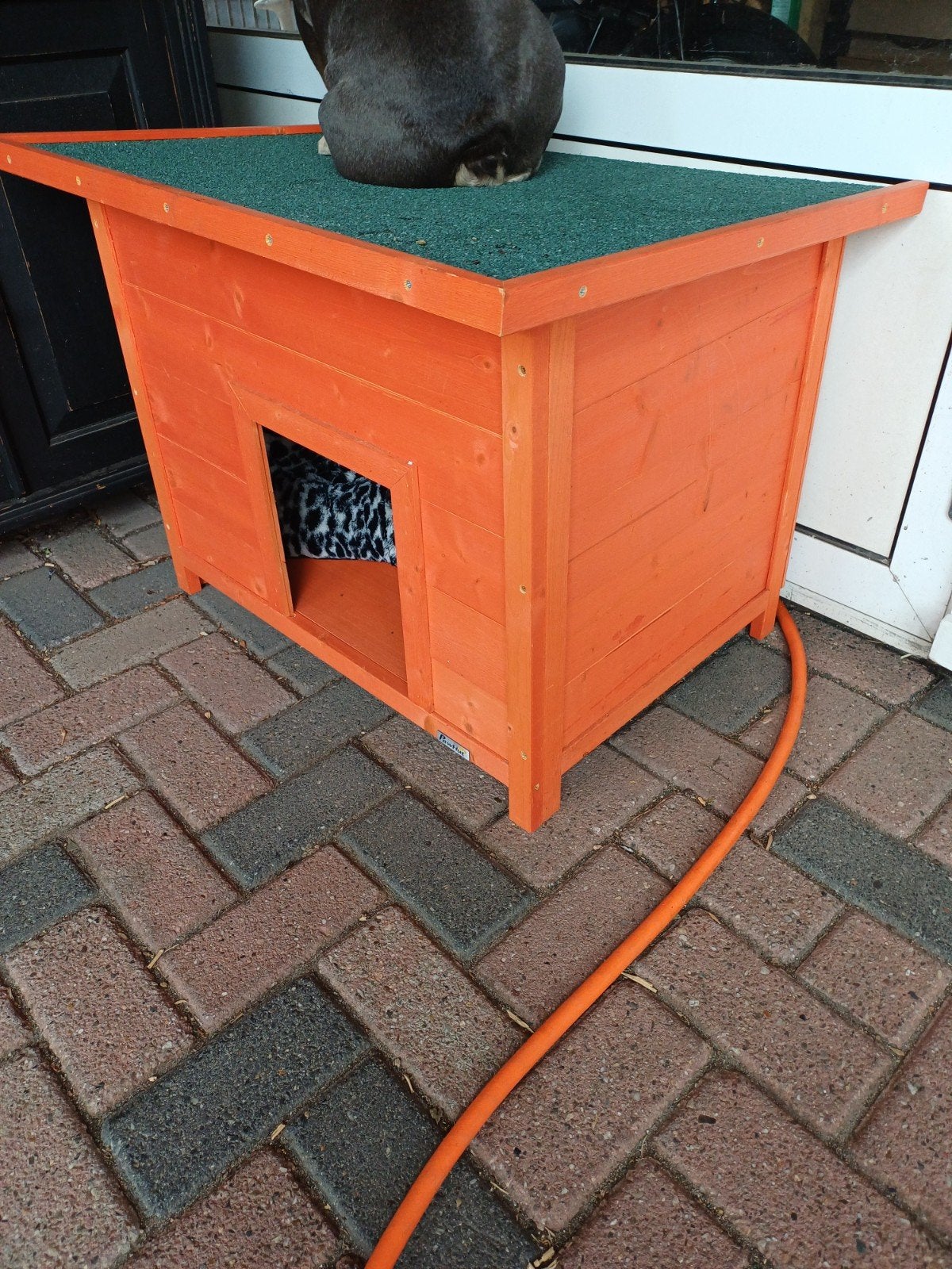 klein honden/kattenhok nieuw, Ophalen, Zo goed als nieuw, 110 cm of meer